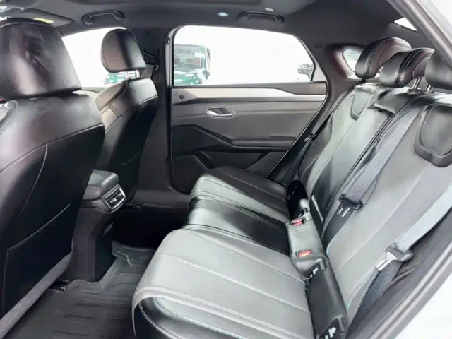 BYD Qin L — Фото автомобиля 22