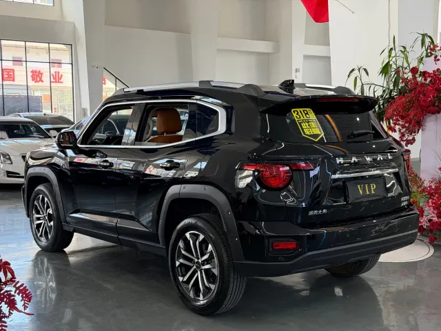 Haval Big Dog — Фото автомобиля 8