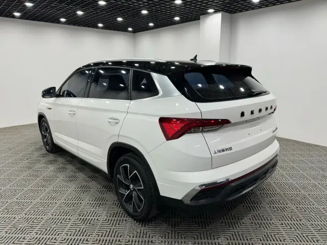Skoda Kamiq — Фото автомобиля 9
