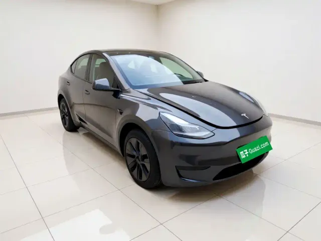 Tesla Model Y — Фото автомобиля 3