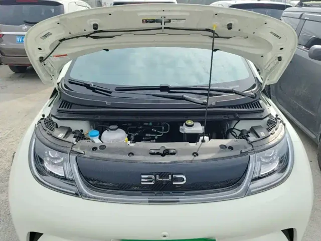 BYD Dolphin — Фото автомобиля 19