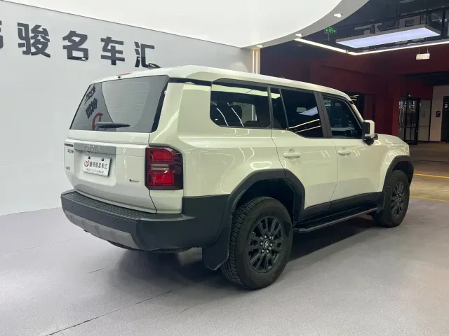Toyota Prado — Фото автомобиля 18