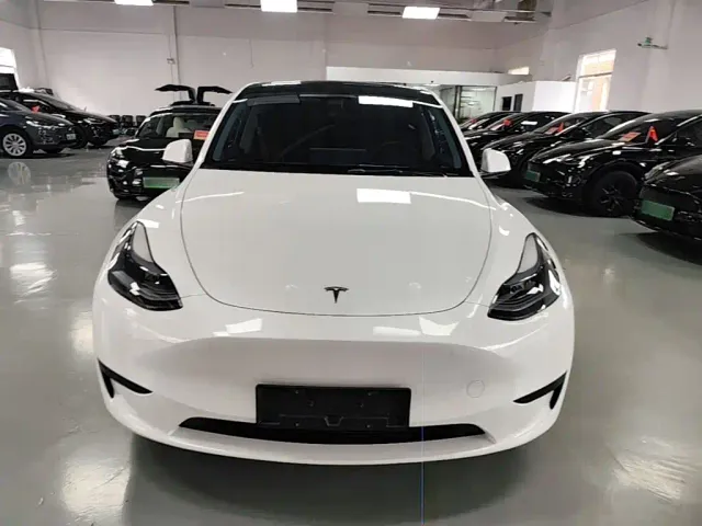 Tesla Model Y — Фото автомобиля 2