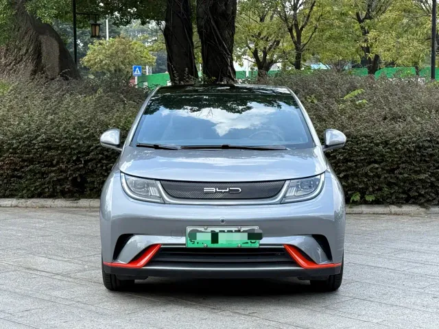 BYD Dolphin — Фото автомобиля 2