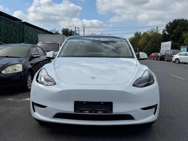 Tesla Model Y — Фото автомобиля 2