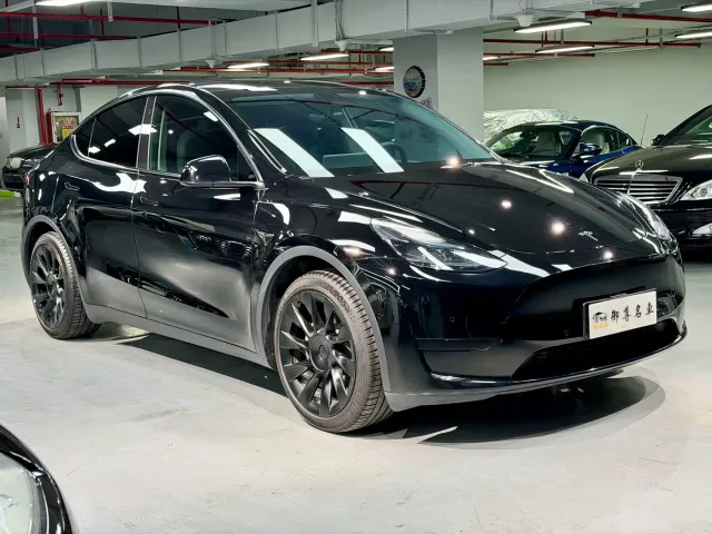 Tesla Model Y — Фото автомобиля 3