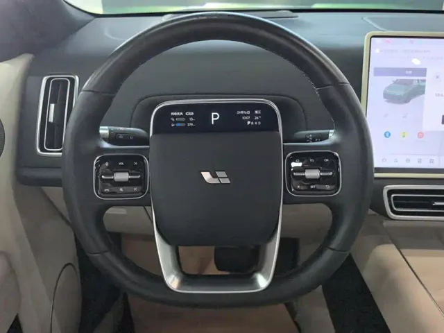 Li Auto L9 — Фото автомобиля 15