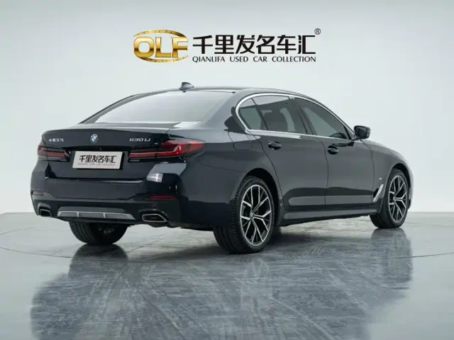 BMW 5 Series — Фото автомобиля 3