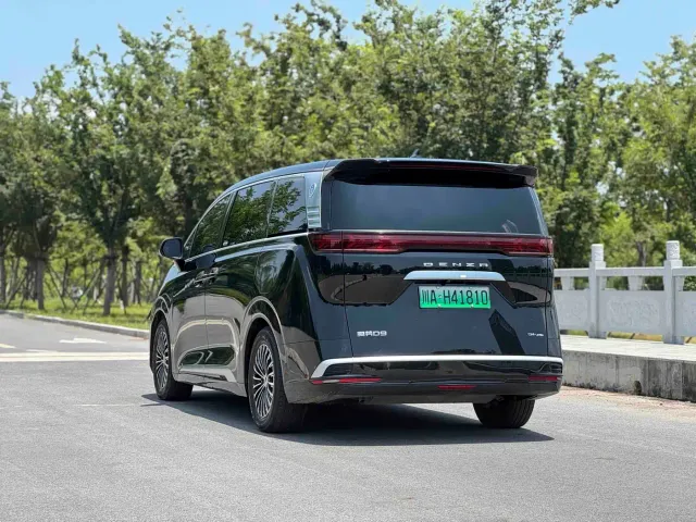 Denza D9 — Фото автомобиля 7