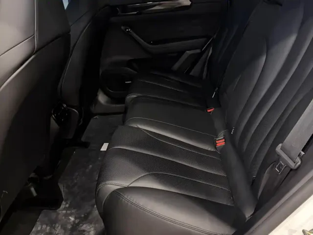 Leapmotor Leapmotor C11 2021 Luxury Edition — Фото автомобиля 11
