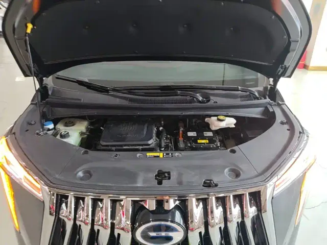 GAC Trumpchi M8 — Фото автомобиля 19