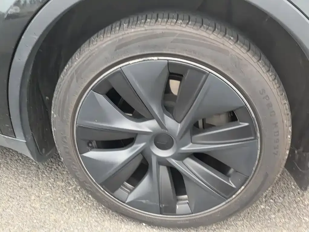 Tesla Model Y 2023 Rear-Wheel Drive Edition — Фото автомобиля 18