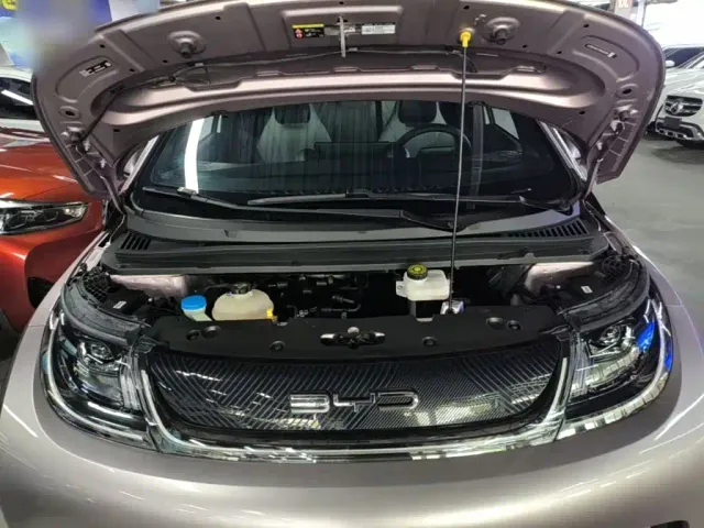 BYD Dolphin — Фото автомобиля 19