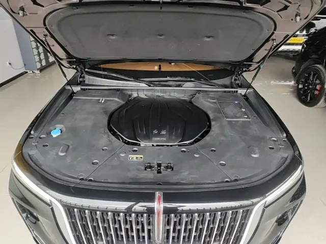 Hongqi H9 — Фото автомобиля 19