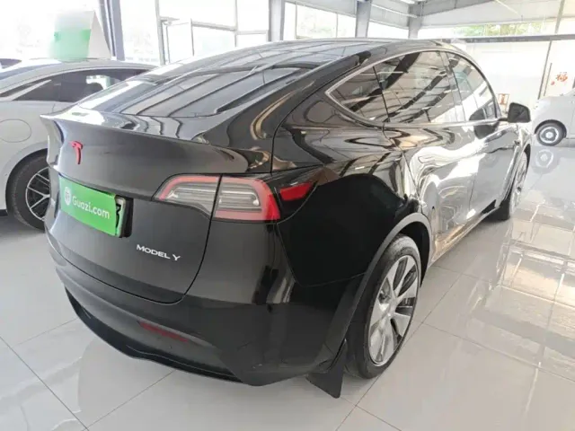 Tesla Model Y — Фото автомобиля 6