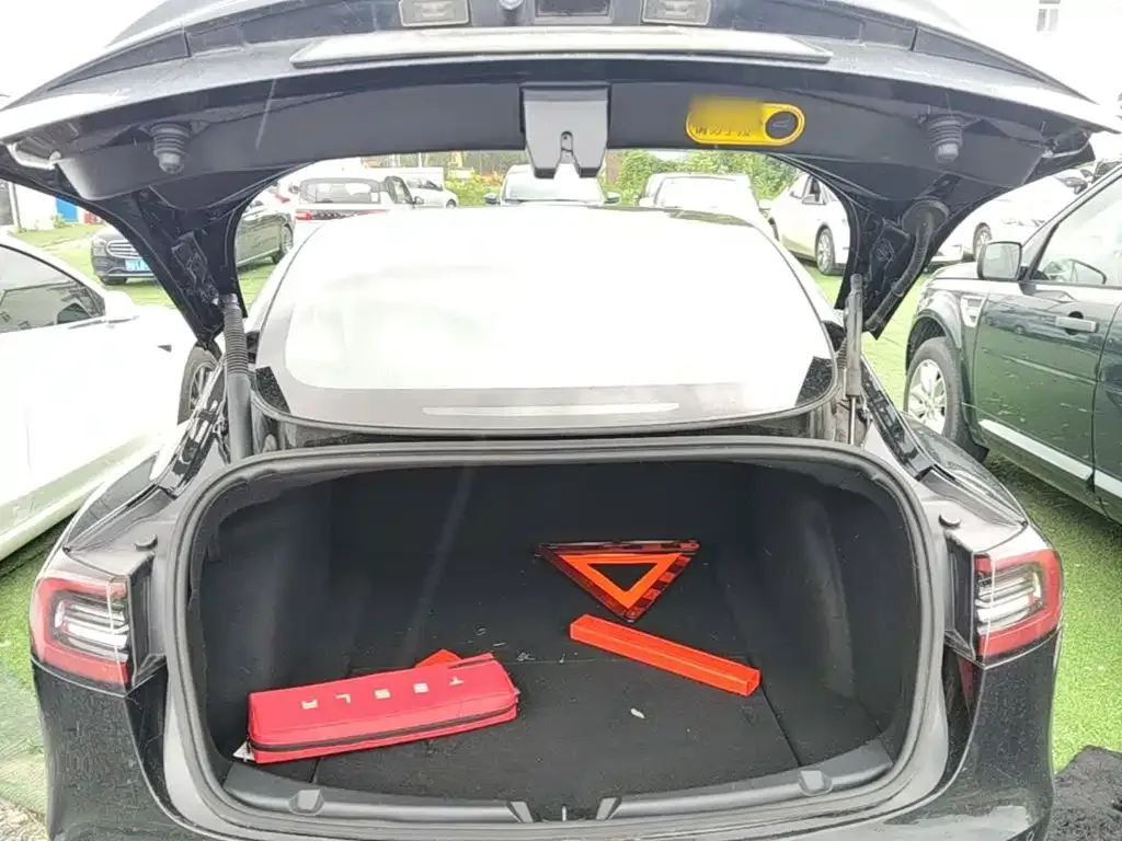 Tesla Model 3 2021 Standard Range Rear-Wheel Drive Upgrade 3D6 — Фото автомобиля 14
