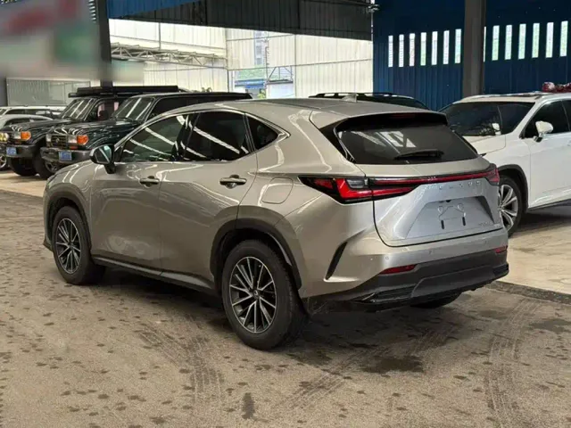 Lexus NX — Фото автомобиля 24