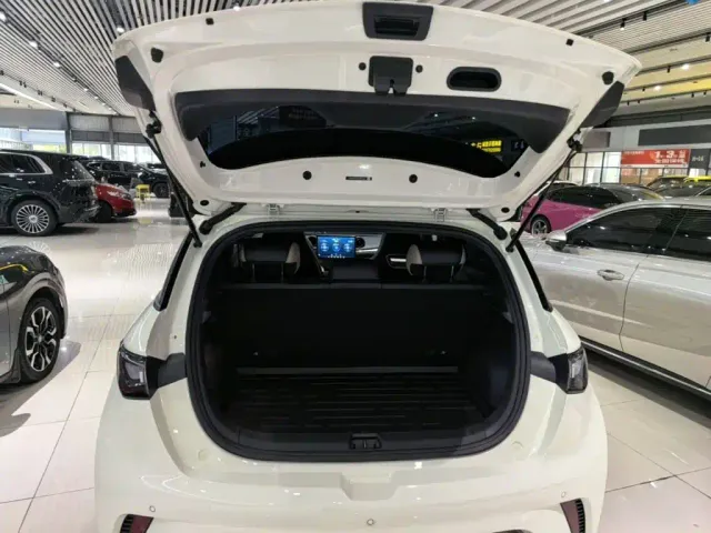 BYD Dolphin — Фото автомобиля 18