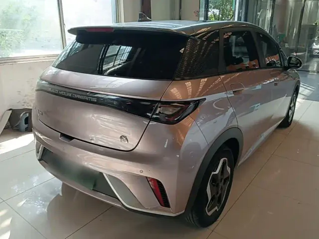 BYD Dolphin — Фото автомобиля 6