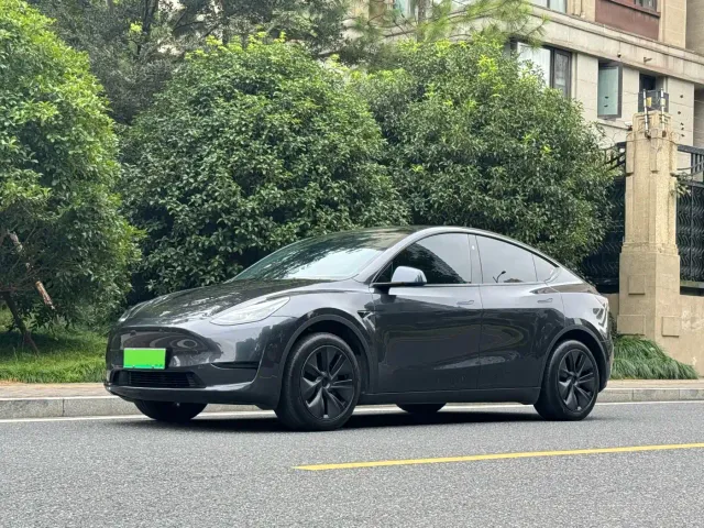 Tesla Model Y — Фото автомобиля 2
