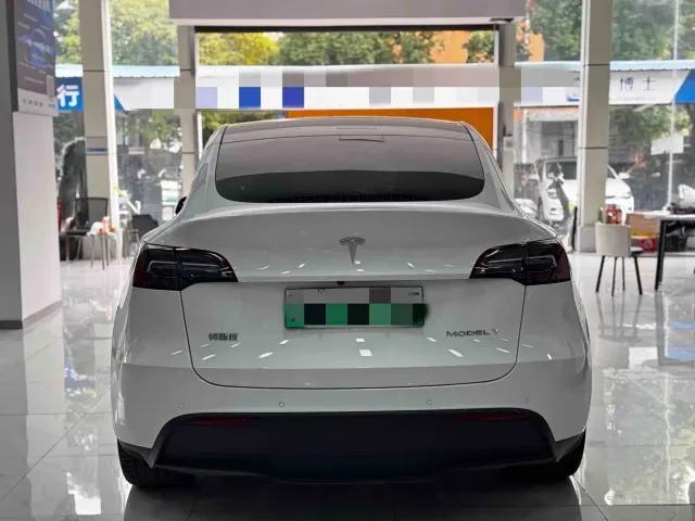 Tesla Model Y — Фото автомобиля 10