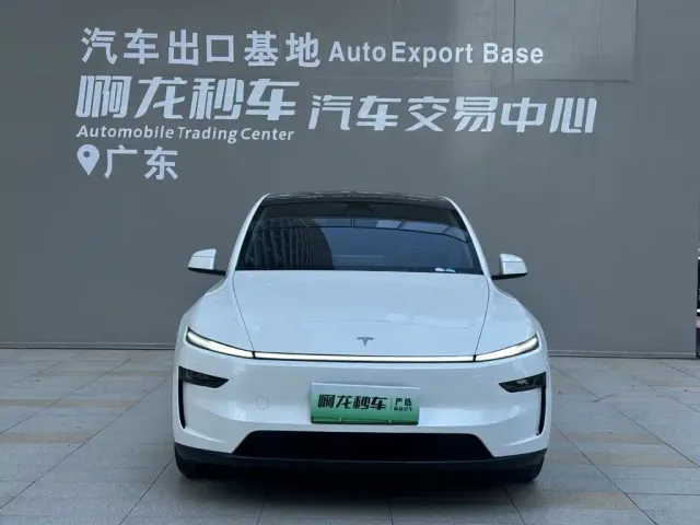 Tesla Model Y — Фото автомобиля 2