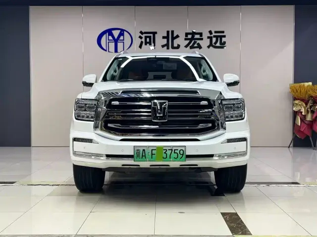 Tank 500 EV — Фото автомобиля 2