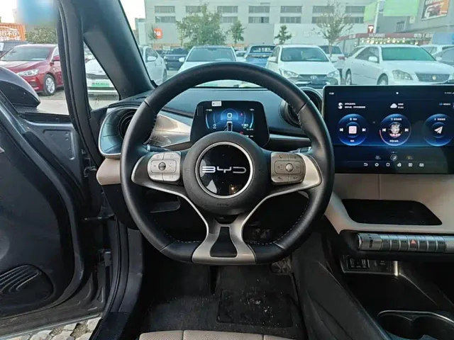 BYD Dolphin — Фото автомобиля 10