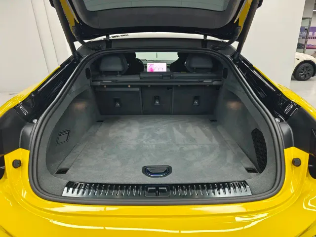 Lotus Emeya — Фото автомобиля 12