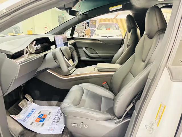 Tesla Model X — Фото автомобиля 19