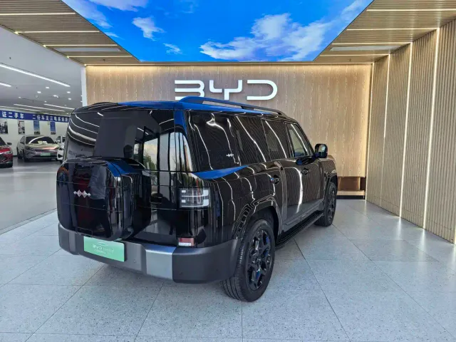 BYD FangChengBao Titanium 7 — Фото автомобиля 18