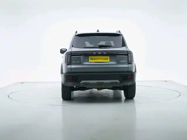 Haval Big Dog — Фото автомобиля 2