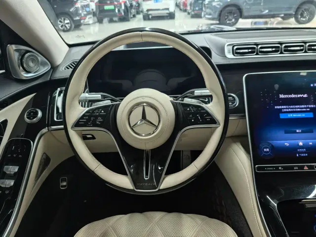 Mercedes-Benz Maybach S-Class — Фото автомобиля 13
