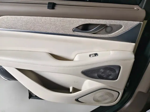 Wey Lanshan — Фото автомобиля 12