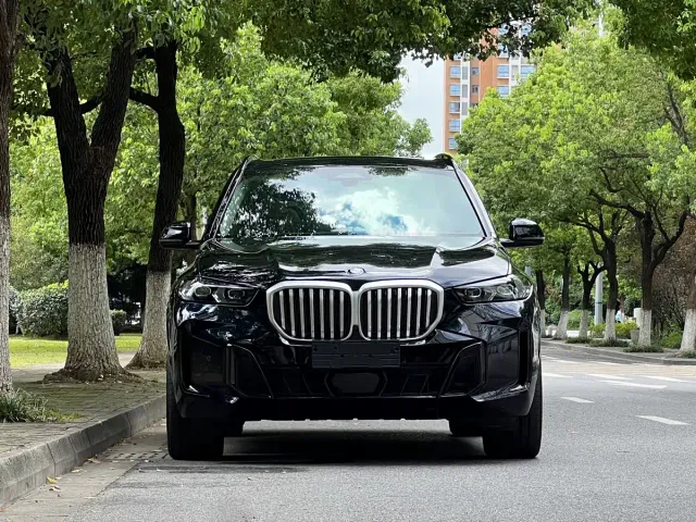 BMW X5 — Фото автомобиля 2