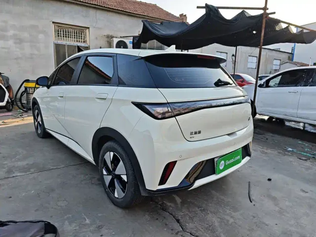 BYD Dolphin — Фото автомобиля 4