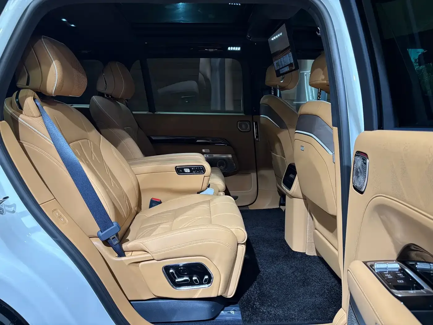 ZEEKR Zeekr 9X 2025 Model Standard — Фото автомобиля 20