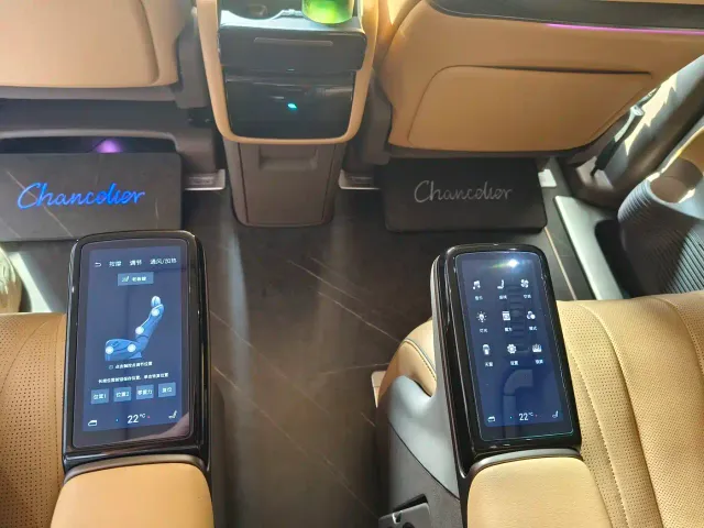 Denza D9 — Фото автомобиля 8