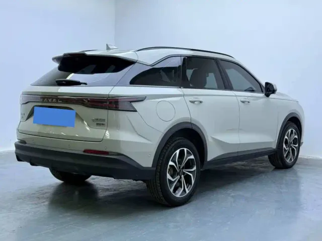 Haval Xiaolong MAX — Фото автомобиля 5