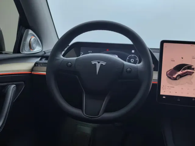 Tesla Model Y — Фото автомобиля 22