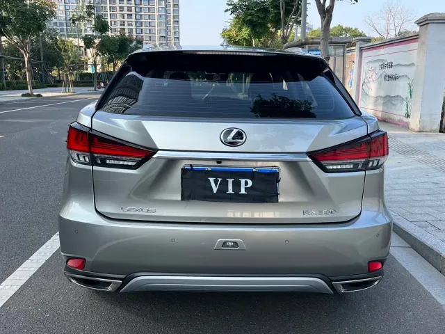Lexus RX — Фото автомобиля 18