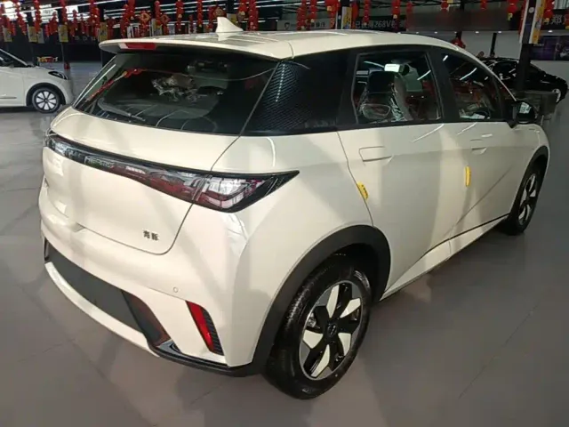 BYD Dolphin — Фото автомобиля 6