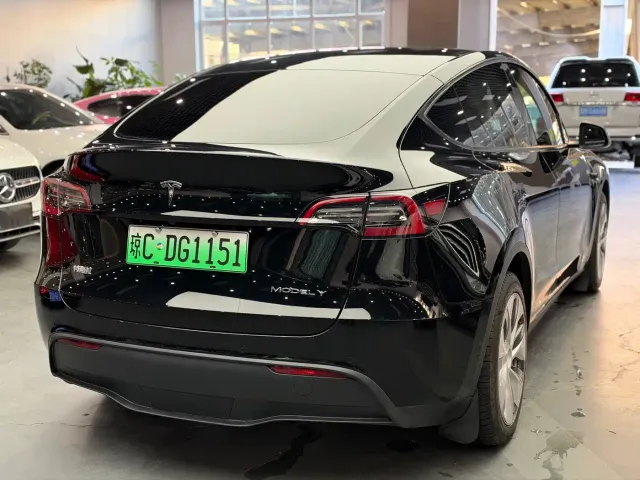 Tesla Model Y — Фото автомобиля 9
