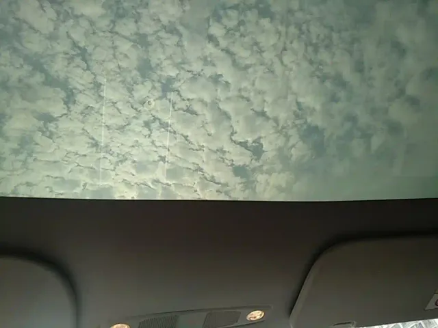 Tesla Model Y — Фото автомобиля 17
