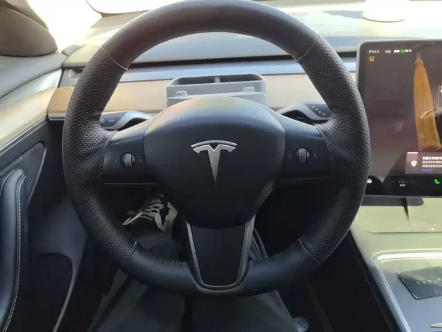 Tesla Model 3 — Фото автомобиля 10