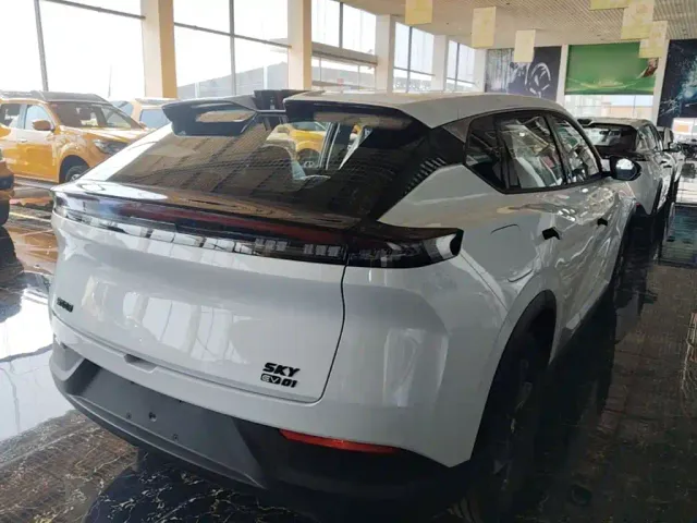Dongfeng SKY EV01 — Фото автомобиля 6