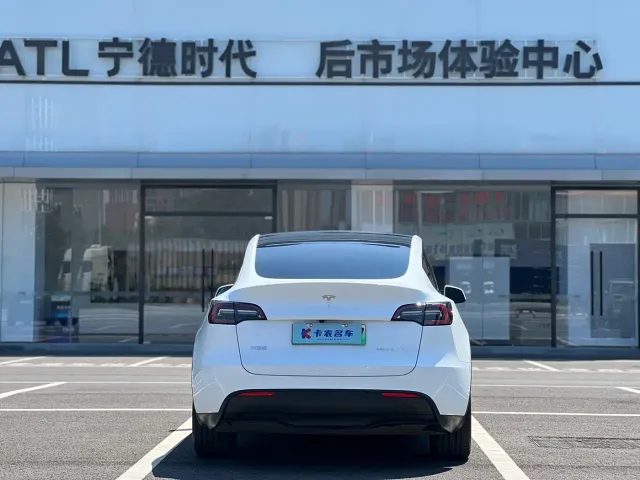 Tesla Model Y — Фото автомобиля 4
