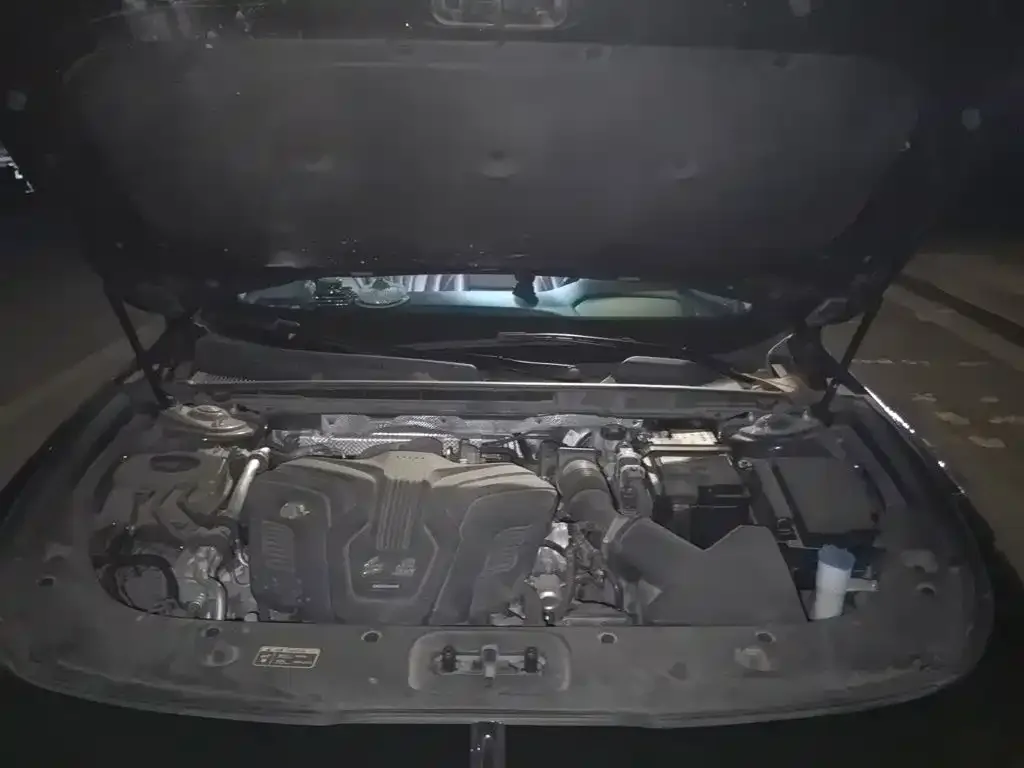 Hongqi Hongqi H5 2023 2.0T Auto Smart Connect Flag Enjoy — Фото автомобиля 10