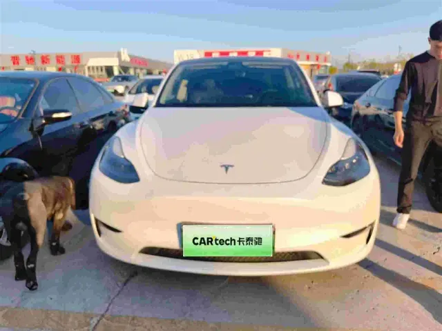 Tesla Model Y — Фото автомобиля 4