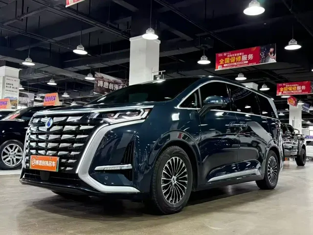 Фотография автомобиля — Denza D9
